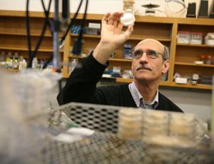 帮您解决问题的手机号测压网页