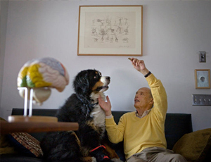 在线电话轰炸软件