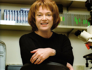 批发价格的手机号轰炸服务